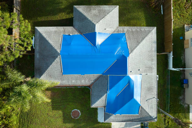 Best Roof Maintenance and Cleaning  in Edgewood, WA