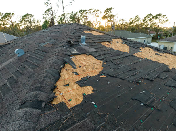 Best Roof Coating and Sealing  in Edgewood, WA